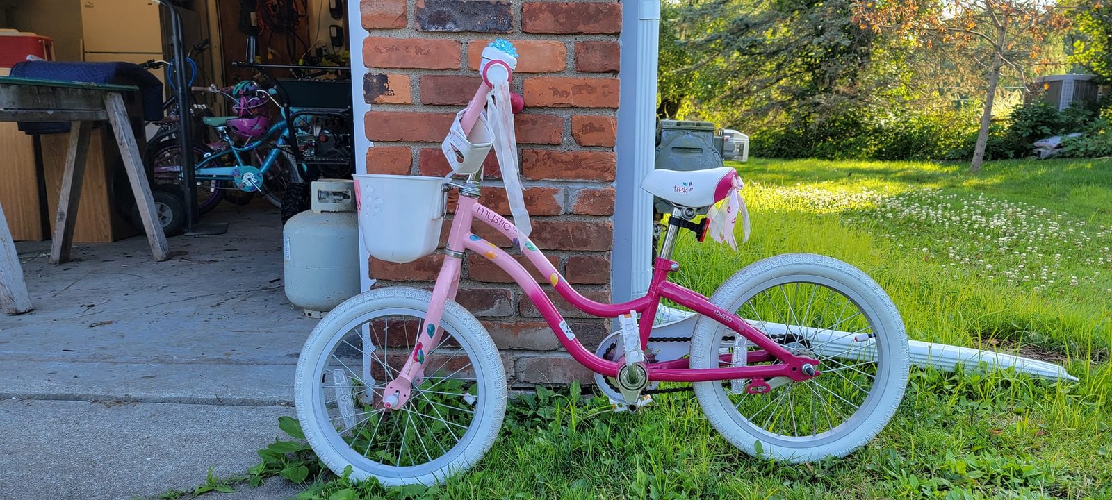 bike